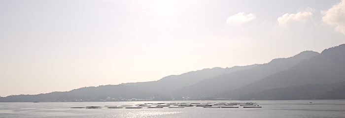 宮島width=